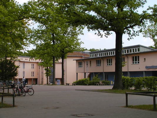 Nächstes Foto
