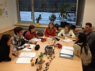 Medienprojekt in Kooperation mit Partnerschule in Ungarn und TU Ilmenau