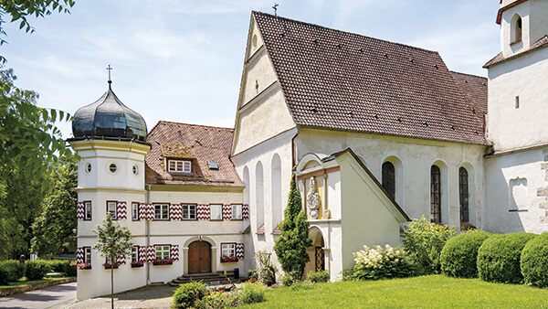 Nächstes Foto